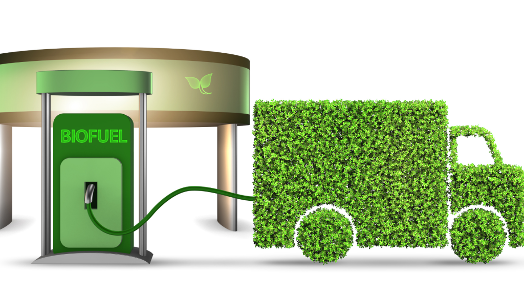 Vanlife et écologie : comment réduire son impact environnemental ?